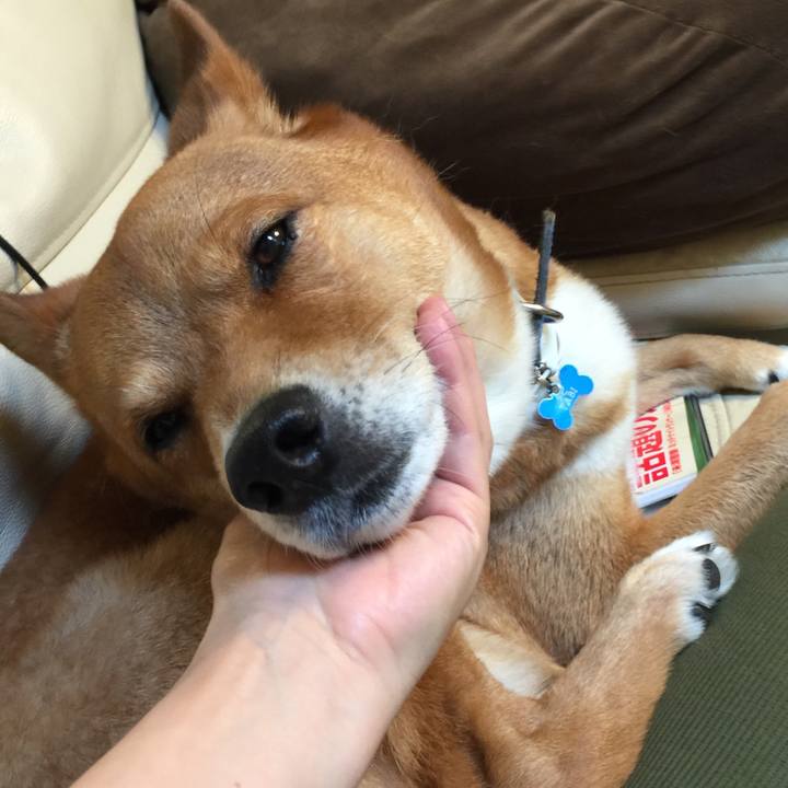 A6dac99a b9f2 4956 814e fbf92c27175f 1593333154857