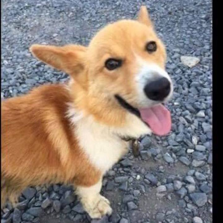 A6dae90c e5a7 44f5 964c 343f2f5a4129 1532959286522