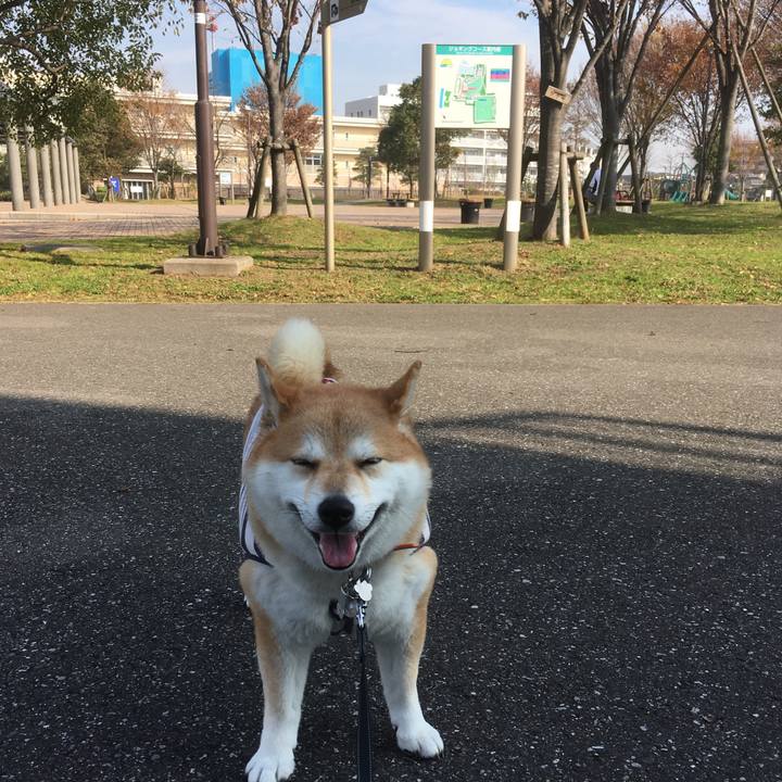 A6db0169 f426 4f50 b040 cd9b1c512072 1543896595294