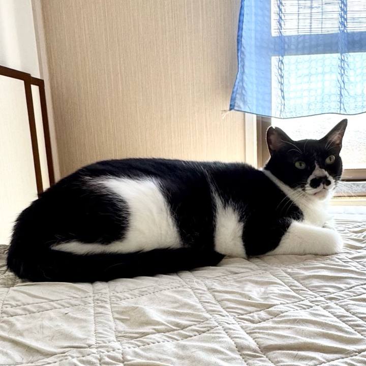 A6db056f b30a 43c9 a0d8 f6a98b68b853 1752898893466