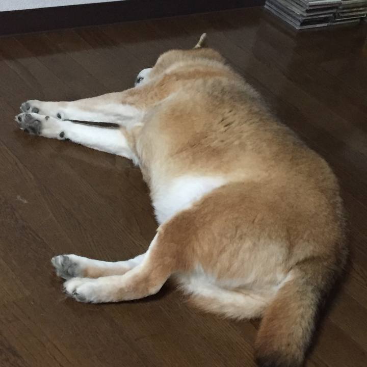 A6db5b12 0745 4e04 9b1d fb72d34f5e02 1555155569995