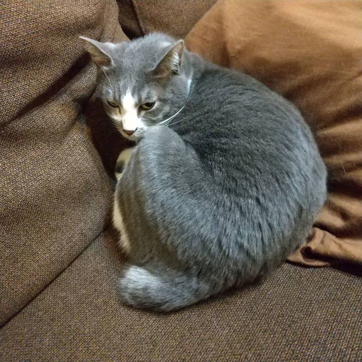 A6db6a16 4bcc 424b 83e4 347a47fecf01 1637245851386