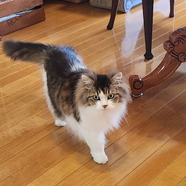 A6db72bf 5aeb 4ad0 9f89 6cfcf3b10a24 1776173776835