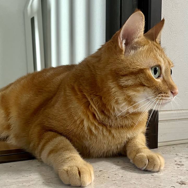 A6db7527 f8f8 4c9d 9085 b2e6c85f1003 1693612068048