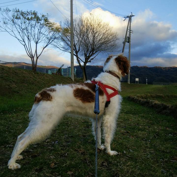 A6dbafe3 bd48 4dce 893a b17f7b2de0a0 1544612149089