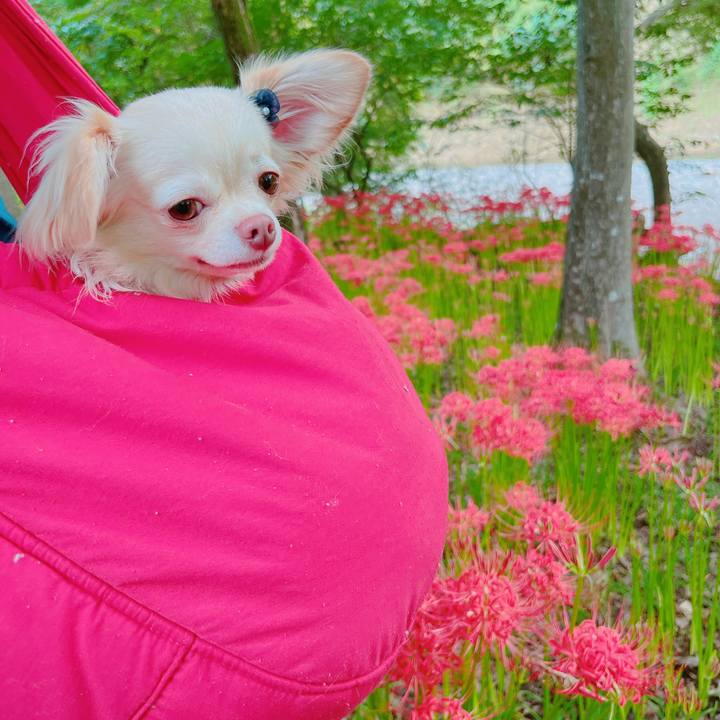 A6dc1586 53e1 4daf 848f daedd2e3df11 1663738839956