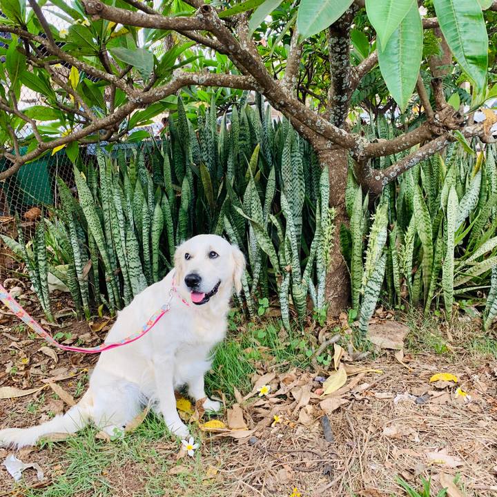 A6dc4d59 d696 40fa b857 7b9d5a27e1f6 1563419860331