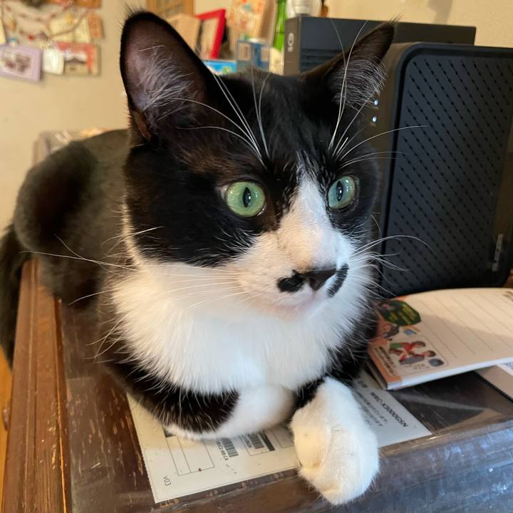 A6dc55a7 245c 45c3 b070 155f4d599ab7 1675382900874