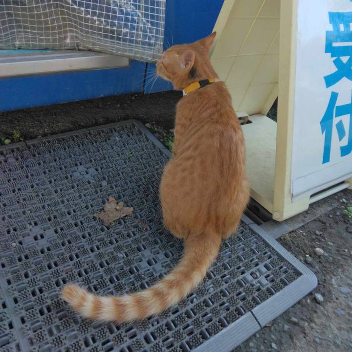 A6dcec6e 0688 4966 a5b6 44a579315048 1726548035503