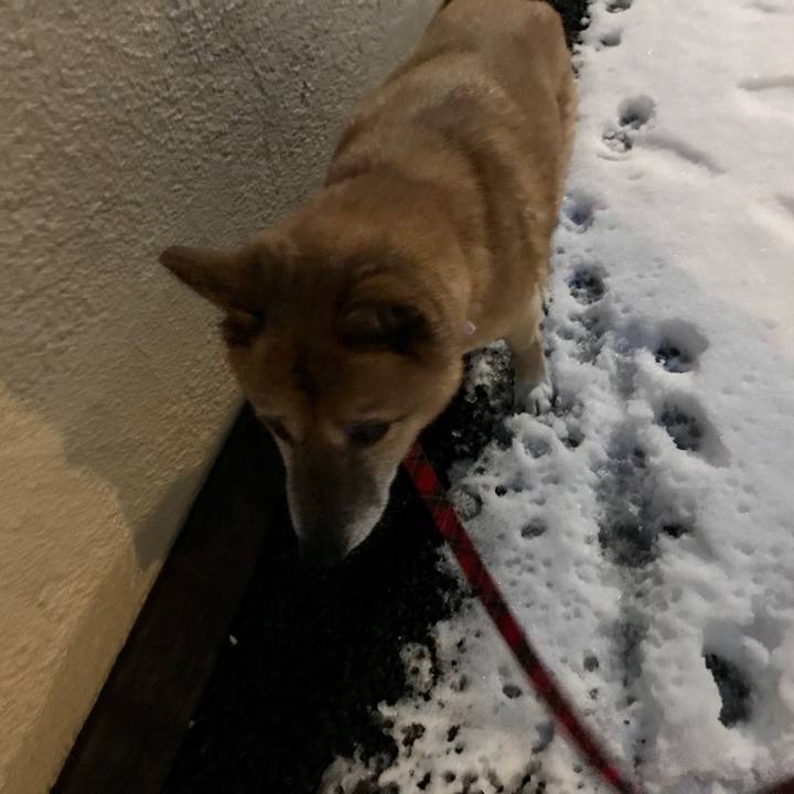 A6dd0c36 d646 479f b04c 6b91023a5cd0 1516657010898