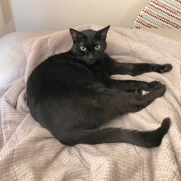 A6dd0dce 3d35 4014 93fa d3fc221236d7 1559559663878