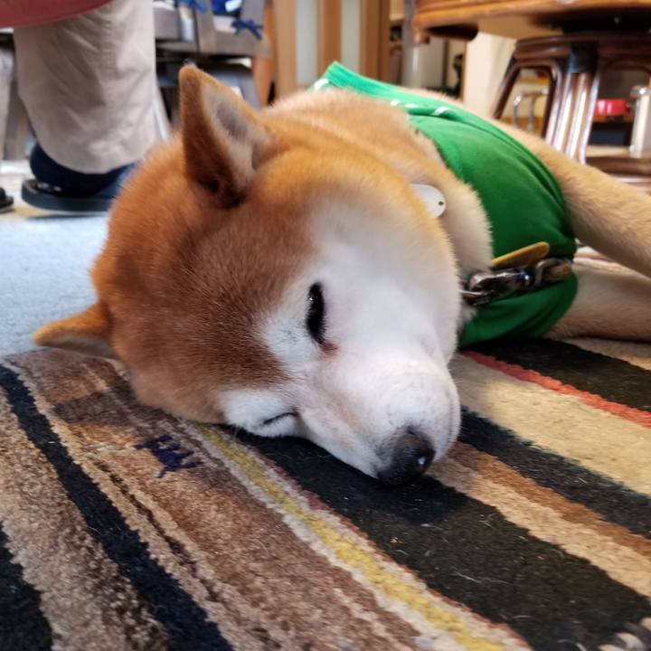 A6dd144a b1a5 4ce0 ada6 dd0540161f28 1585522859157