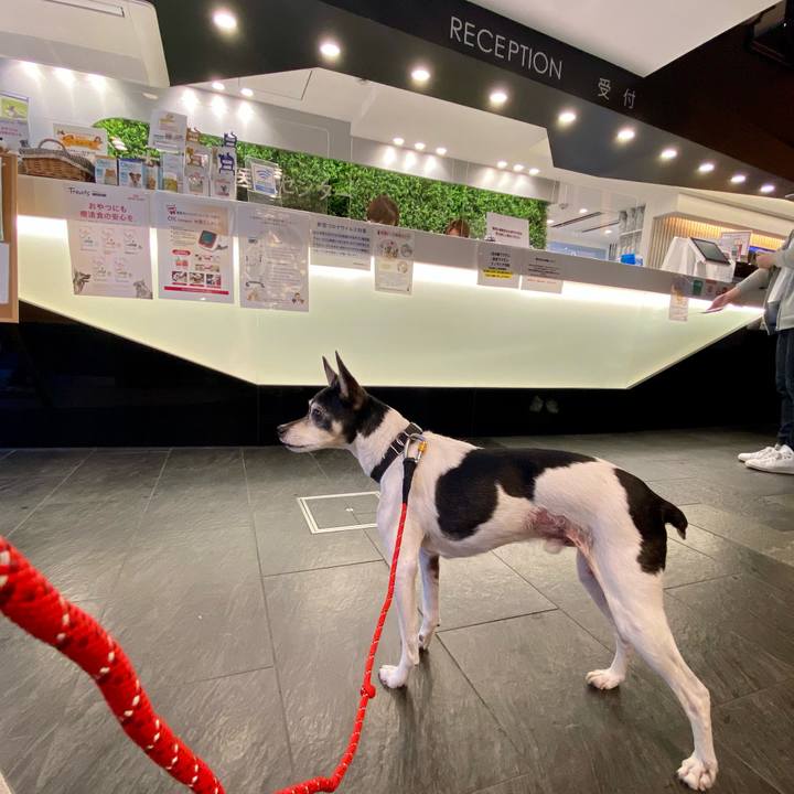 A6dd67ae 6920 4d47 8657 74581db1cce9 1619683361111