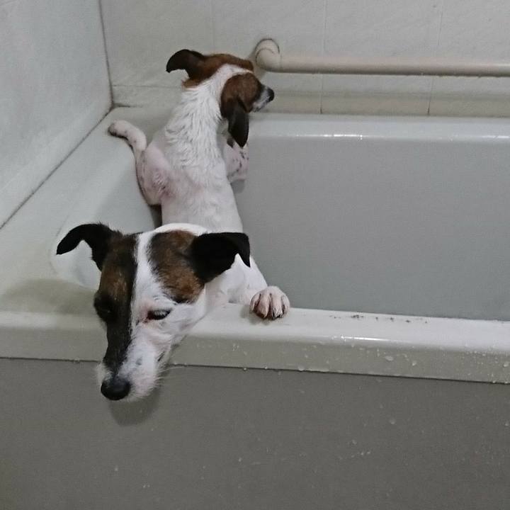 A6dd80bf 46cf 4f43 80c7 5899dbea59b9 1556412746007