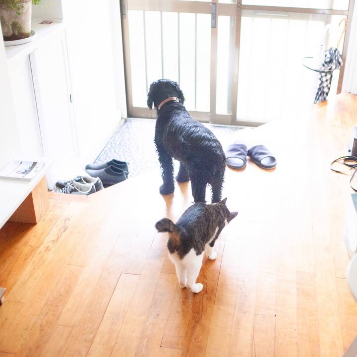 A6dda11d 4318 43f9 9234 b38d8b5bc3ee 1595253260778