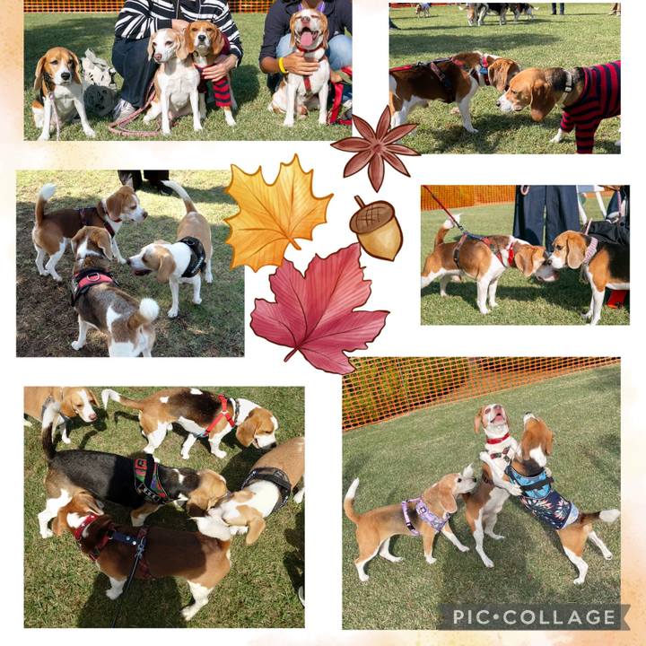 A6ddaa90 d585 4fad a057 f33e757673fb 1697372856329