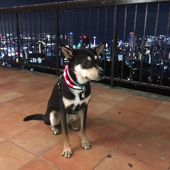 A6ddbd3c 3a1b 465d 9cd3 5bf882094781 1510671917000