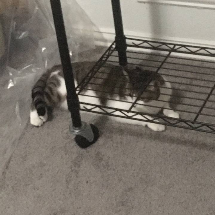 A6ddf14b 85fe 49b5 9d7c fe6ed4515eae 1660779364327