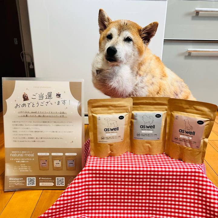 A6ddffc0 2a49 4bb7 82bf 9544616232c9 1760516113450