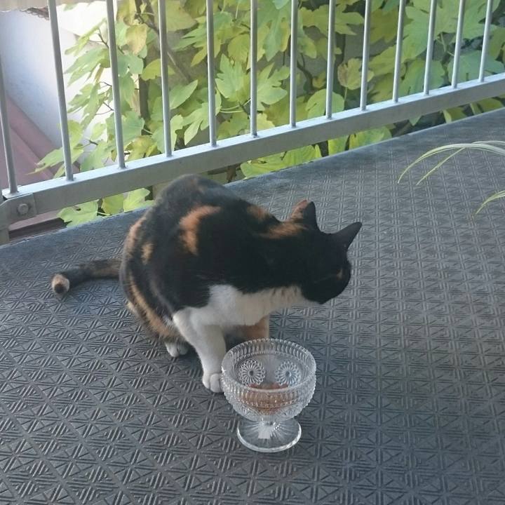 A6de1e19 ab80 4b3c 99a0 4770326ee822 1512359111853