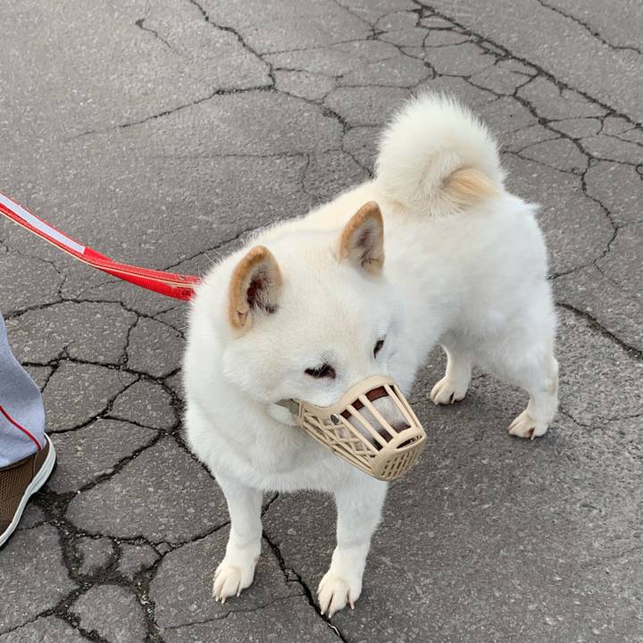 A6de29b6 92ee 4b34 8e5a af7add525432 1590181504331