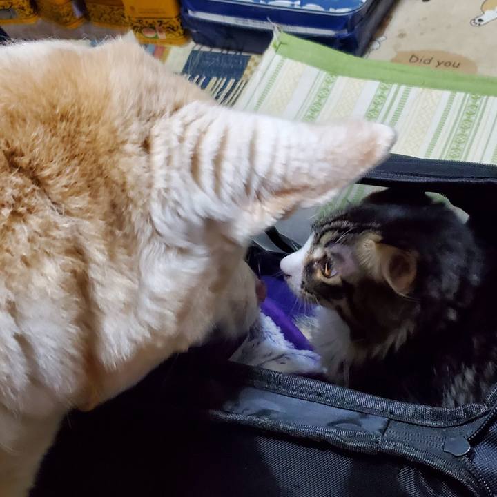 A6de3906 a287 46a6 b1ac eb402eb15c82 1662516865476