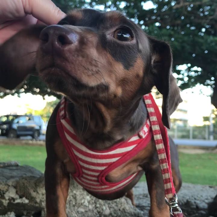 A6de39c8 0c08 4c6f b589 ae9f356d5cd8 1526476305852