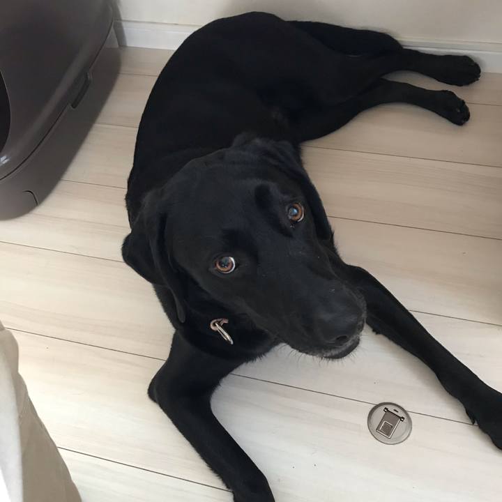 A6de3ab6 1709 4adf 8ac9 bd679b9e83a2 1584751563705