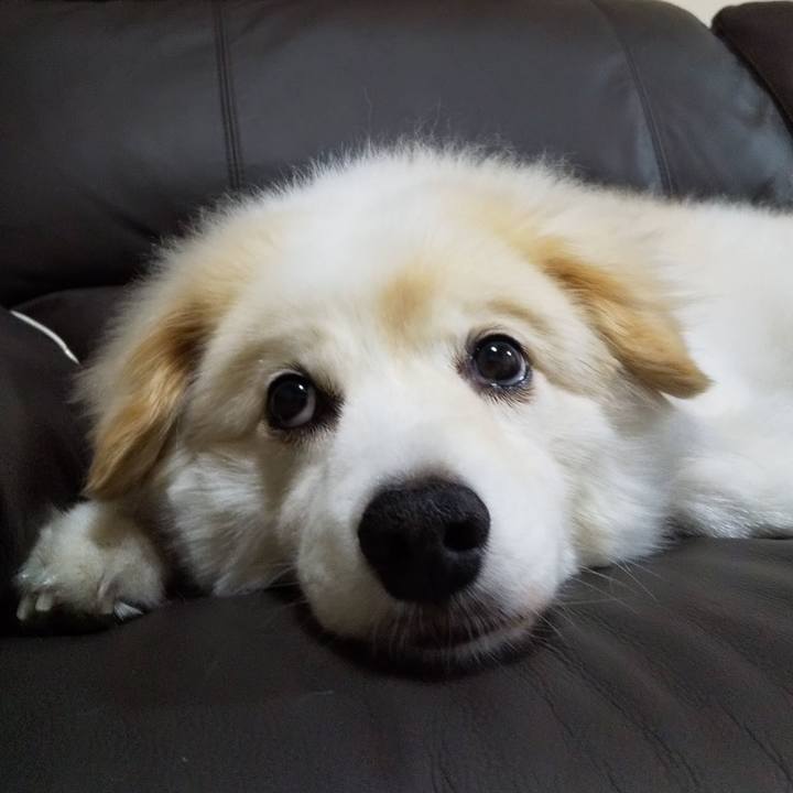 A6de3ab8 bbfd 40de 8be1 46686185a378 1637812009941