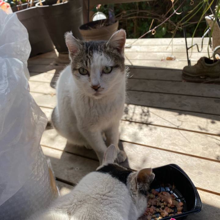 A6de8302 378d 487c bb8a de48a922edde 1739853850998