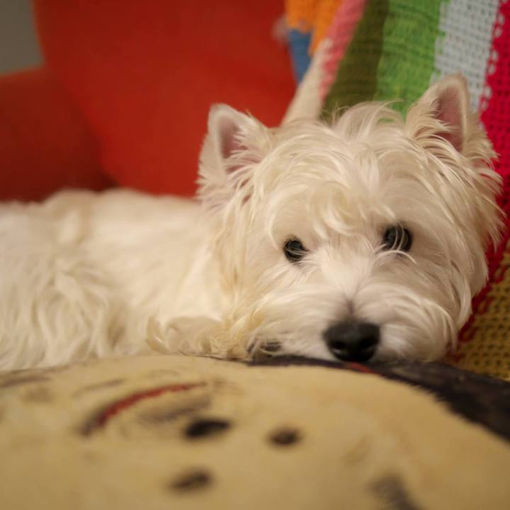 A6deba11 8cbd 414e 9915 d97cb5abaa69 1513519403911