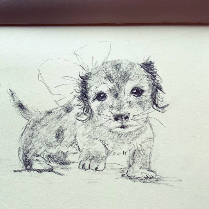 A6debaaf c7f7 4758 85b7 e06b8f6608bf 1678576480587