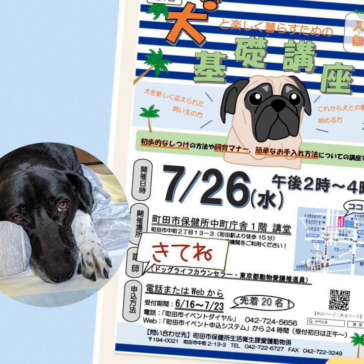 A6dec78a d1cb 4756 aa80 a52348e0a787 1690070133754