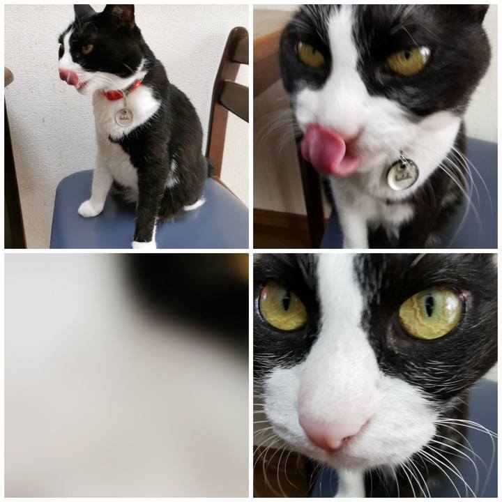 A6decb05 ea6c 47ed bee7 f9b7267de9c8 1664609053236