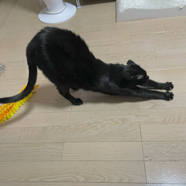 A6ded317 a129 42e4 8aeb 86262bb2daa2 1722852824645