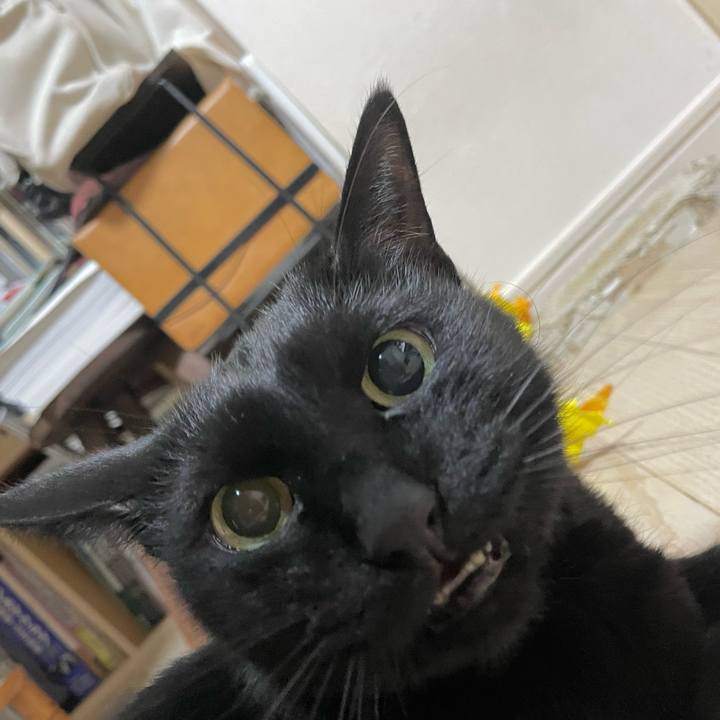 A6defe3c 1294 4e3d a9bb 3864860d9dca 1671289273895