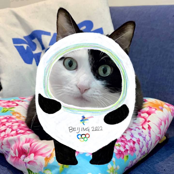 A6df1ae8 f220 4e86 941a 728a14aa33c0 1645362917904