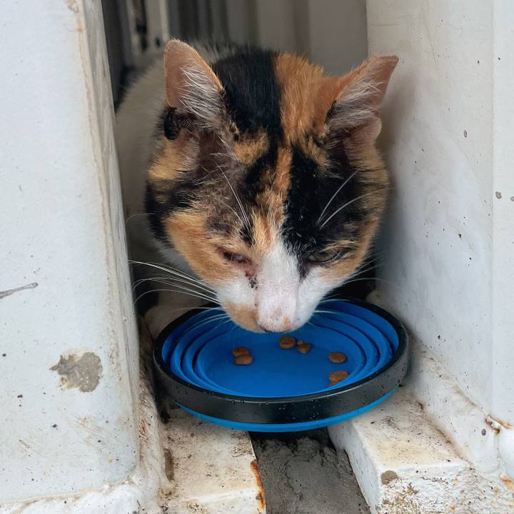 A6df24f6 7ca2 4e6e a079 a0cf78ae74f2 1685708873758