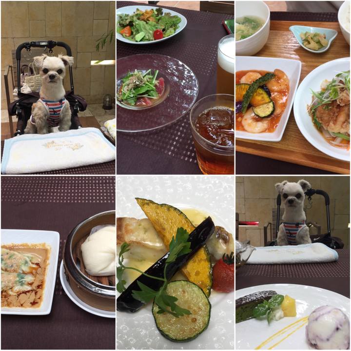 A6df366f 653c 4ad3 b7a8 0c67cd4c2553 1562405473810