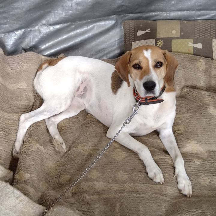 A6df4aa5 cc97 4169 8a8b c948da4b028b 1630828007205