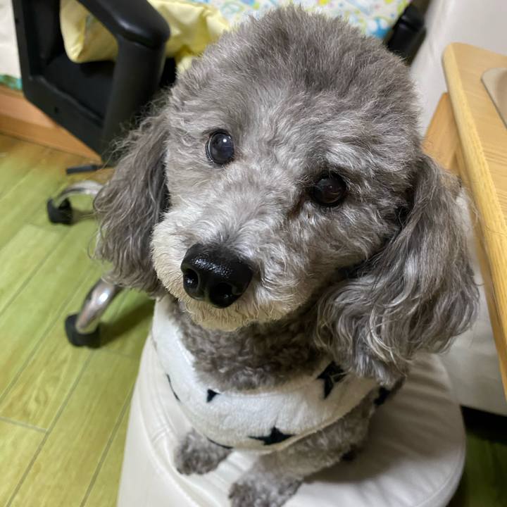 A6df7f34 6f4a 4e9c b432 d284f746b774 1579086762302