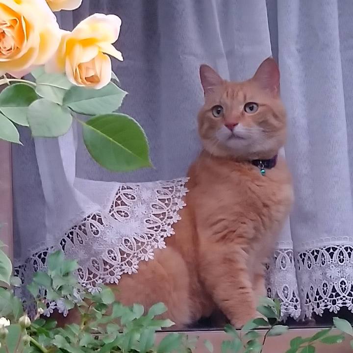 A6df83e3 0800 4f45 827a 1b3e37c3effa 1591315774308