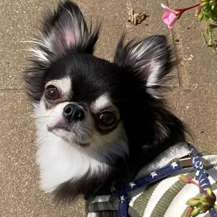 A6df9547 896f 4dd8 83d3 3ceb8aff88ec 1651982610112