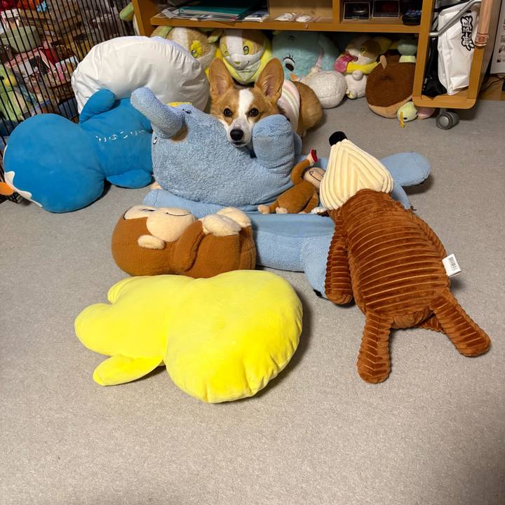 A6dfa6cf 7a1f 4573 935d 1c829ef59eb8 1768053832929