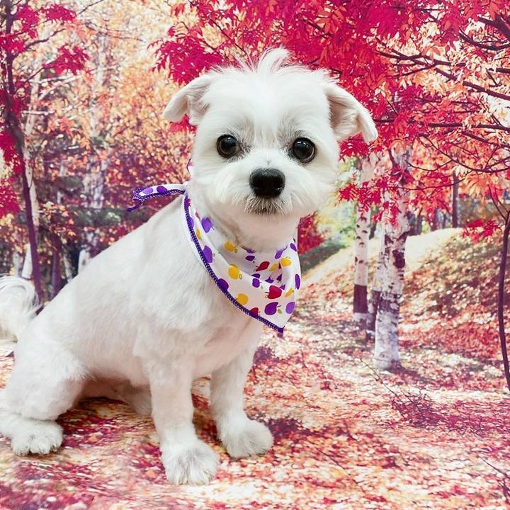 A6dffb83 79e0 479d 833b 71f25b00414d 1599303442304