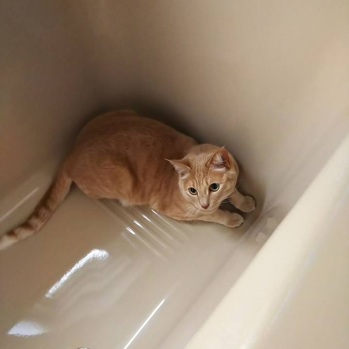 A6e001f0 e190 4776 ba43 5eb6912c895e 1587877487627