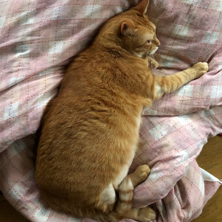 A6e02098 bce8 4dcc b857 3740896639b2 1656928342660