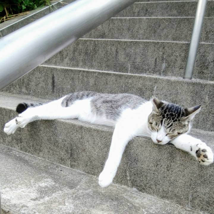 A6e04766 0044 41db 8c77 1f3e25fca3e9 1537098361451