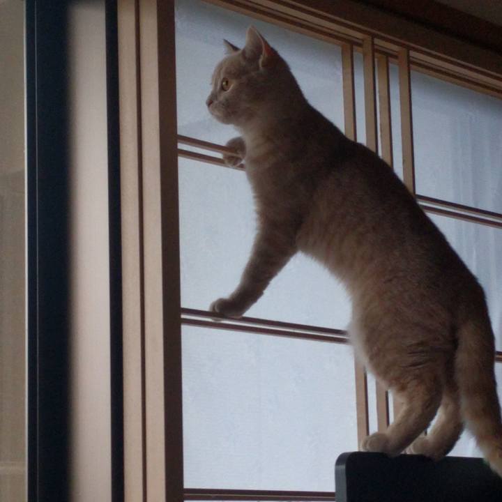 A6e04dab bcc5 44a9 b4d4 37675b4248ab 1508333640455