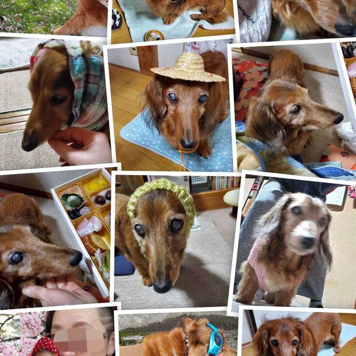 A6e05696 90b1 40ac 946b 9086388c133f 1760401930012